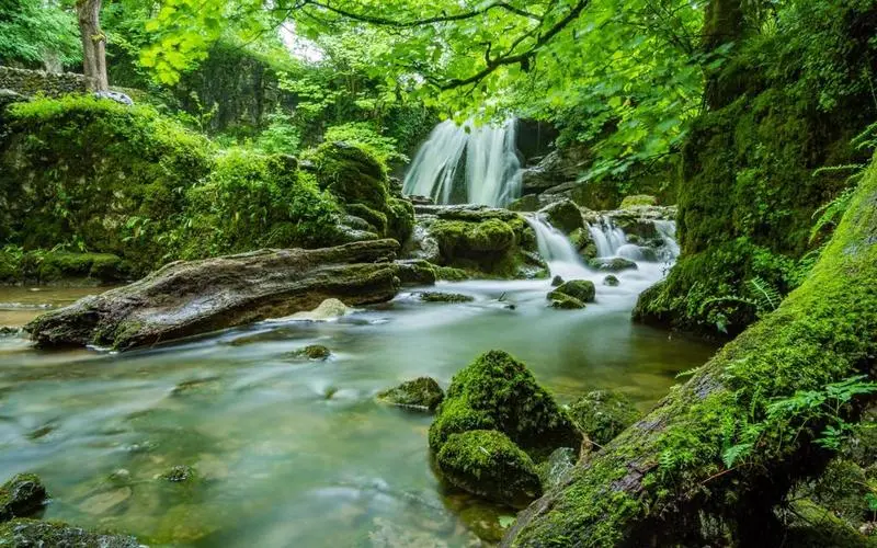 高端智慧高效